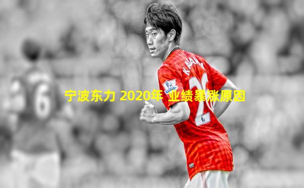 宁波东力 2020年 业绩暴涨原因